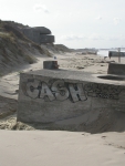 Changing coasts in pictures