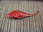 Peristedion miniatum