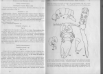 Noetiphilus elongatus description