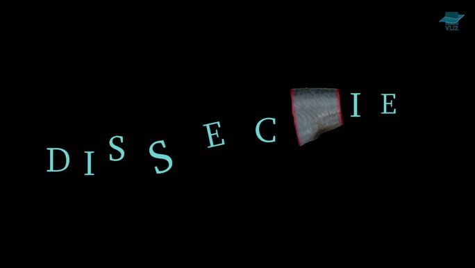 Dissecties