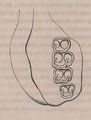 Van Beneden & Hesse (1864, fig. 2)