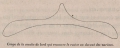 Van Beneden (1870, fig. 02)