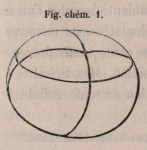 Van Beneden & Bessels (1868, fig. chém. 1)