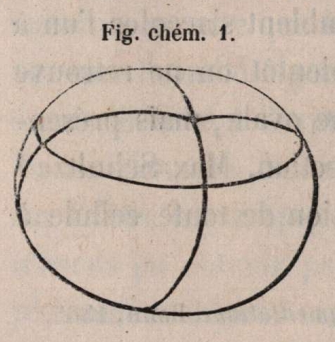 Van Beneden & Bessels (1868, fig. chém. 1)