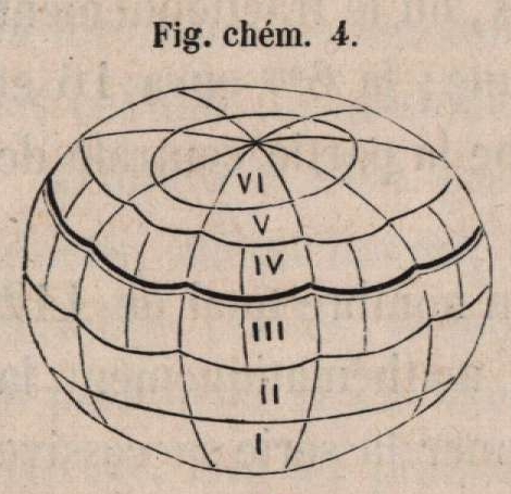 Van Beneden & Bessels (1868, fig. chém. 4)