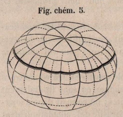 Van Beneden & Bessels (1868, fig. chém. 5)