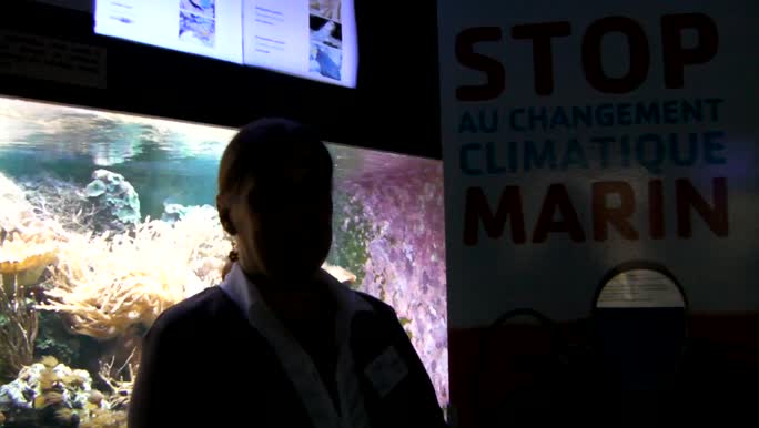 Aquarium publique de Bruxelles - Belgium: A call to participate in the CLAMER video message contest 