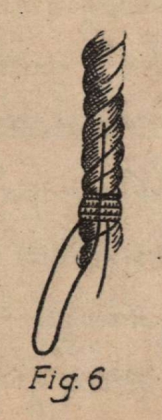 De Jonghe (1912, fig. 06)