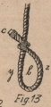 De Jonghe (1912, fig. 13)