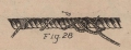De Jonghe (1912, fig. 28)