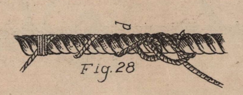 De Jonghe (1912, fig. 28) De Jonghe (1912, fig. 28)