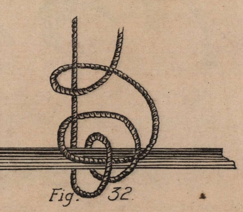 De Jonghe (1912, fig. 32) De Jonghe (1912, fig. 32)