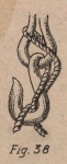 De Jonghe (1912, fig. 38)