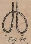 De Jonghe (1912, fig. 44)