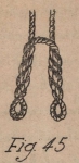 De Jonghe (1912, fig. 45)