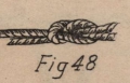 De Jonghe (1912, fig. 48)