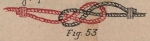 De Jonghe (1912, fig. 53)