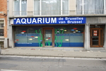 Aquarium publique de Bruxelles - Belgium -1