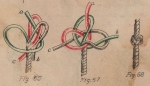 De Jonghe (1912, fig. 66-68)