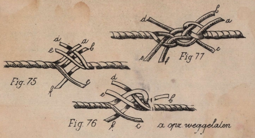 De Jonghe (1912, fig. 75-77)