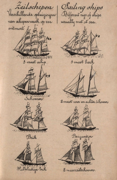 De Jonghe (1912, fig. D)