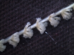 Virgularia mirabillis, author: Fisheries and Oceans Canada, Vonda Wareham