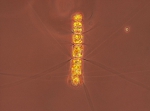 Chaetoceros compressus, author: Hobson, Lou
