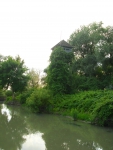 Birdwatch and old grape leaves in Danube Delta