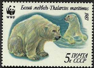 Ursus maritimus