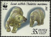 Ursus maritimus, author: Collection Georges Declercq