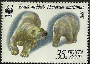 Ursus maritimus