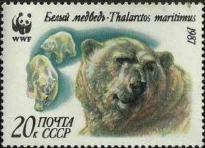 Ursus maritimus