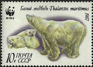 Ursus maritimus