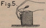 De Borger (1901, fig. 05)