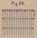 De Borger (1901, fig. 29)