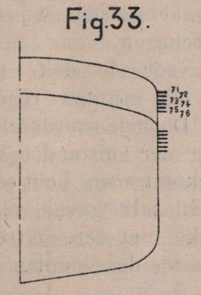 De Borger (1901, fig. 33)
