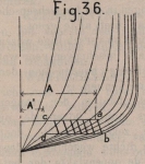 De Borger (1901, fig. 36)