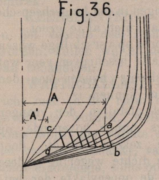 De Borger (1901, fig. 36)