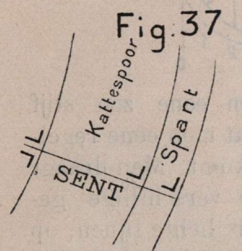 De Borger (1901, fig. 37)