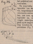 De Borger (1901, fig. 75)