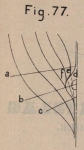 De Borger (1901, fig. 77)