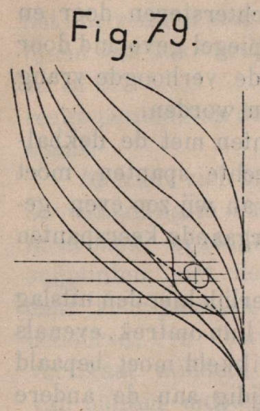 De Borger (1901, fig. 79)