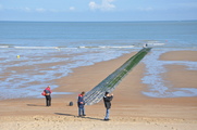 Jetty
