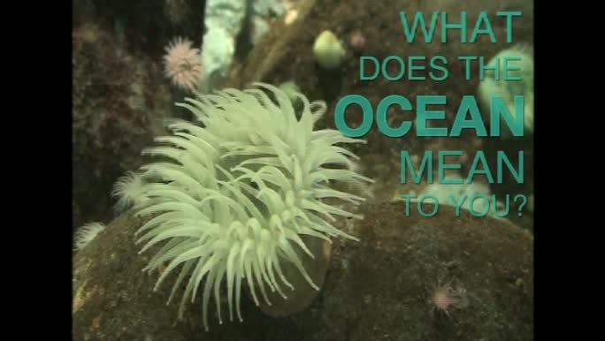 Video message contest entries