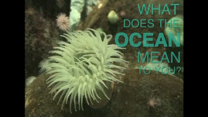 What does the Ocean mean to you? 