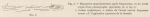 Racovitza (1903, fig. 05)