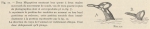 <B>Racovitza, E.G.</B> (1903). Zoologie: Cétacés. Résultats du Voyage du S.Y. Belgica en 1897-1898-1899 sous le commandement de A. de Gerlache de Gomery: Rapports Scientifiques (1901-1913). Buschmann: Anvers, Belgium. 140, IV plates pp.