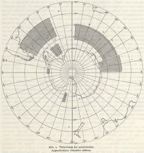 Ihle (1941, fig. 1)