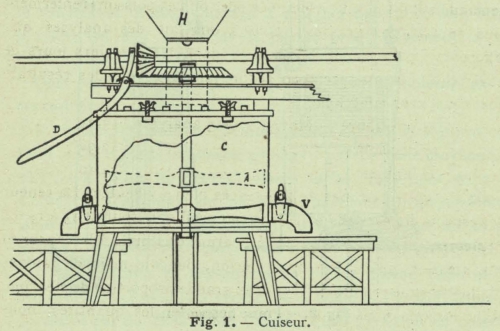 Henseval (1903, fig. 1)