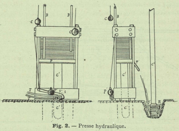 Henseval (1903, fig. 2)